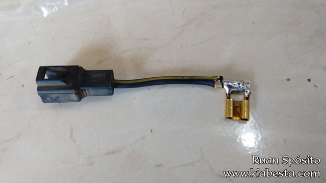 tn_IMG_20200809_101707928 cópia