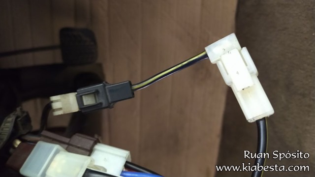 tn_IMG_20200809_101905504 cópia