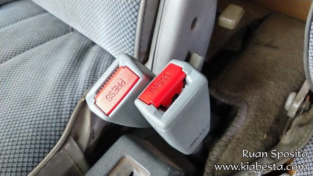 tn_IMG_20200809_120914497 cópia