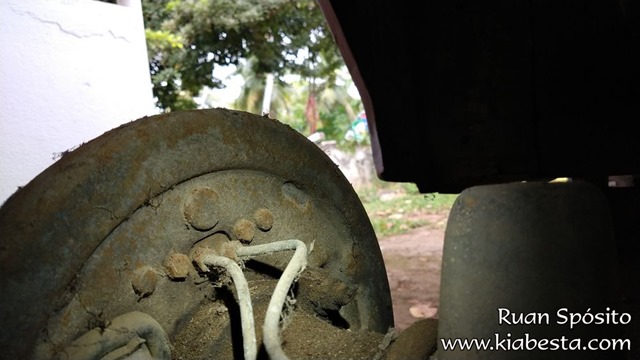 tn_IMG_20200829_135332546 cópia