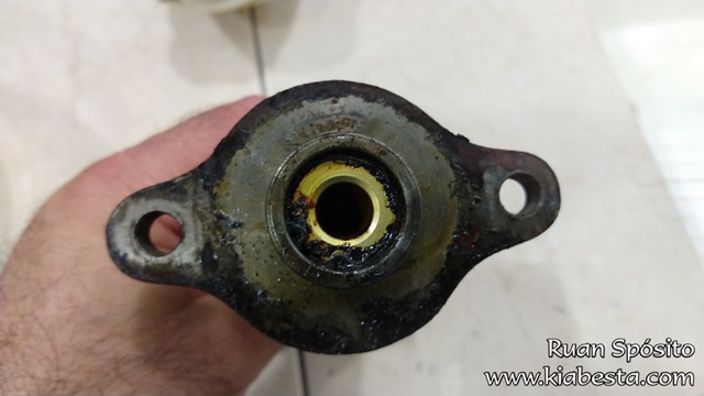 tn_IMG_20200829_173534810 cópia