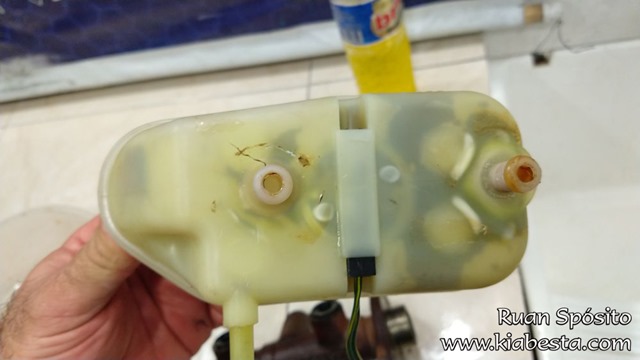 tn_IMG_20200829_173539857 cópia